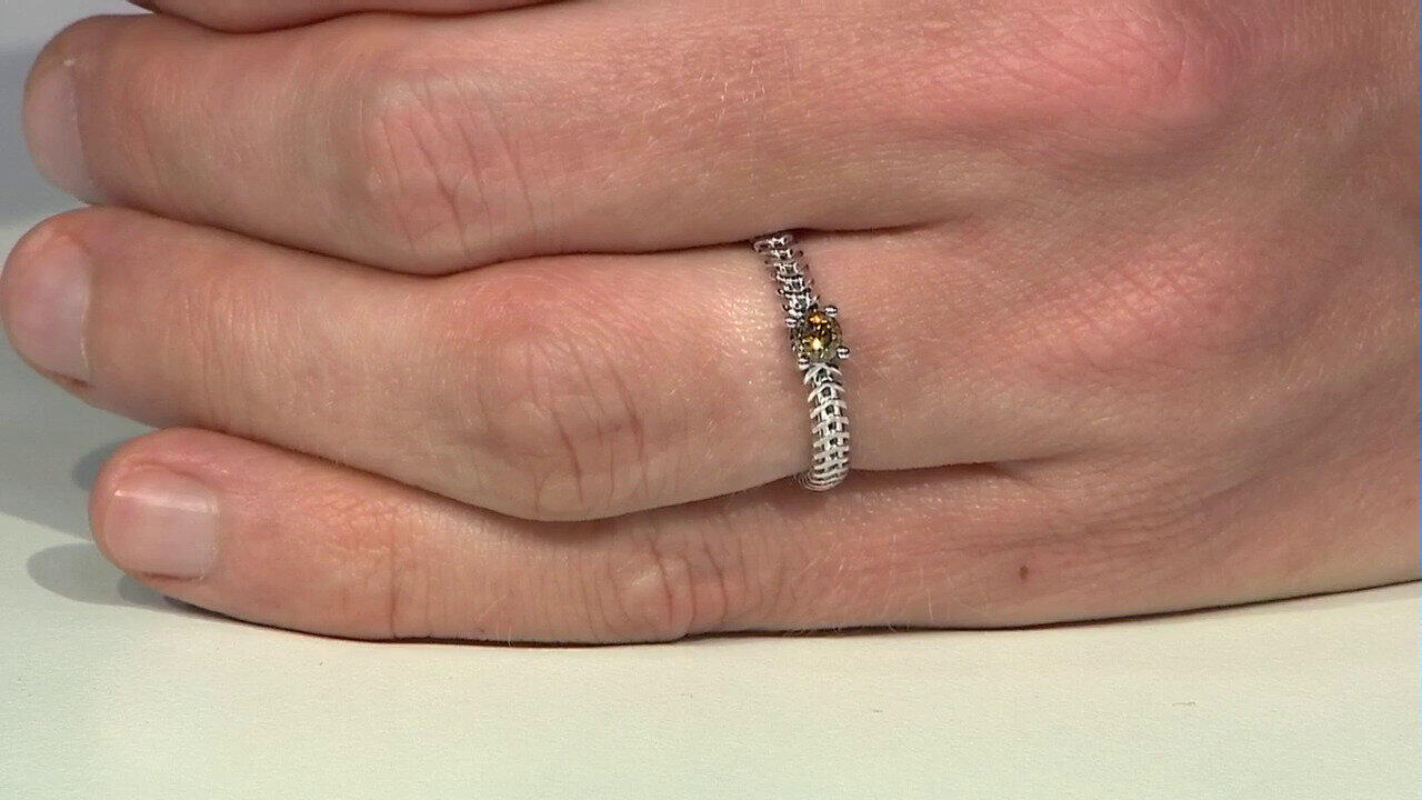 Ver última TV oferta