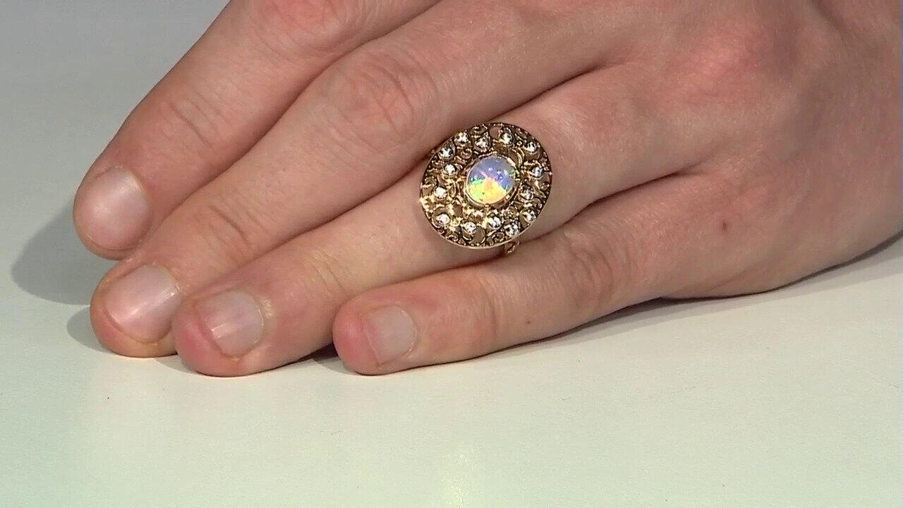 Letzte TV-Show ansehen