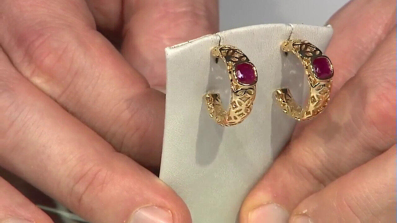 Laatste live aanbiedingen bekijken