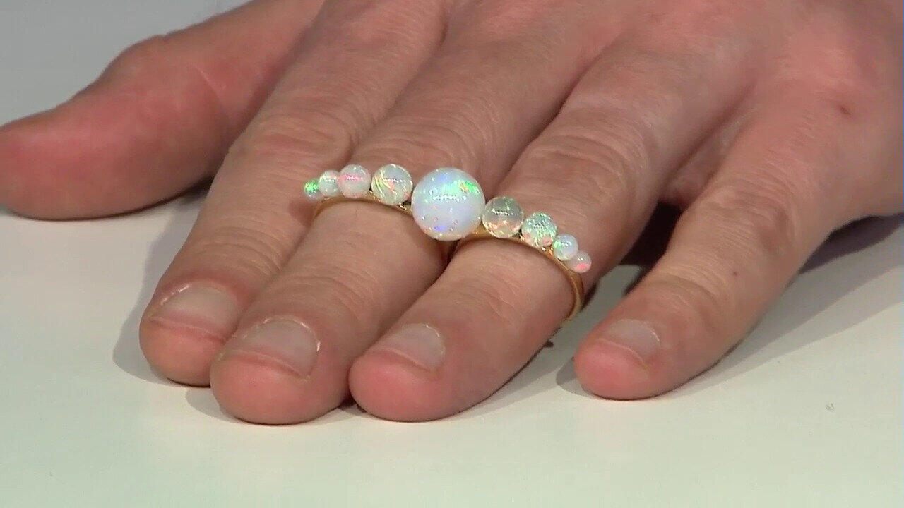 Letzte TV-Show ansehen