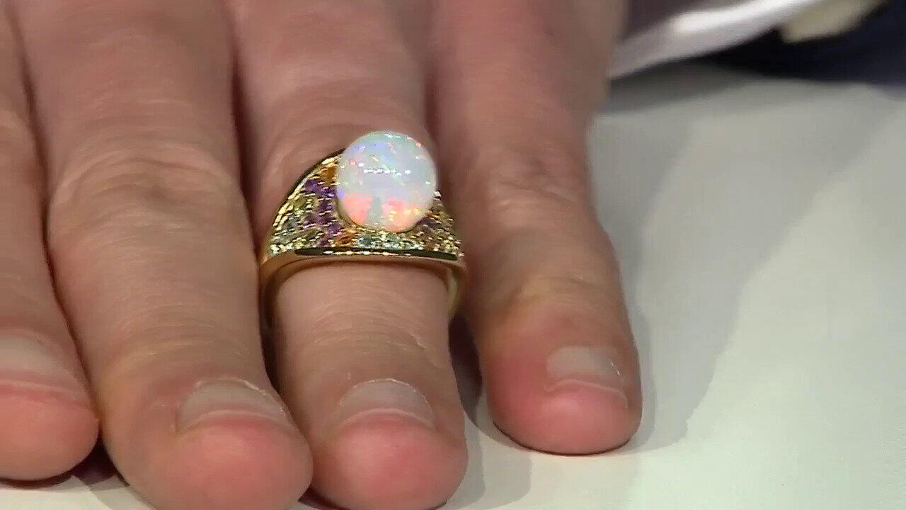 Laatste live aanbiedingen bekijken