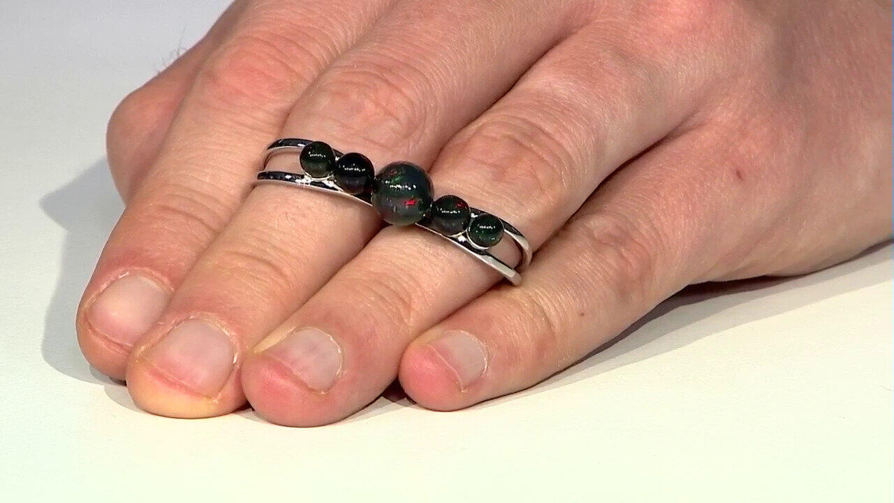 Letzte TV-Show ansehen