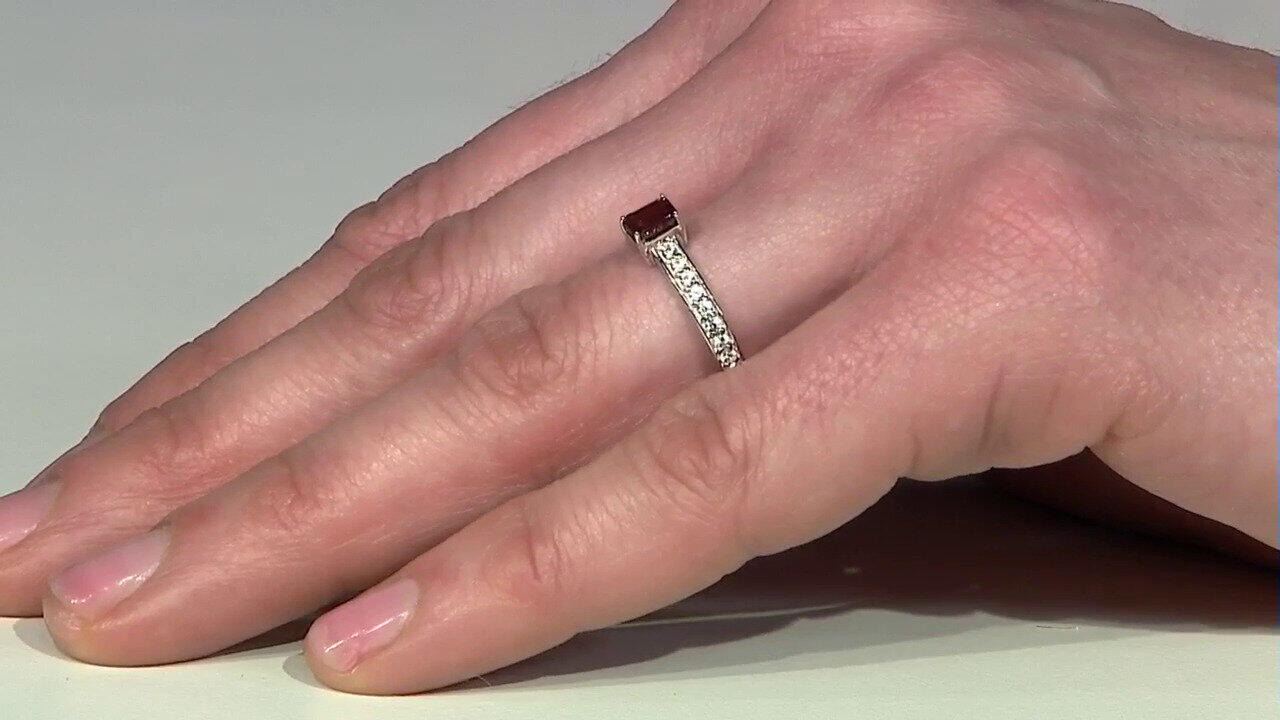 Letzte TV-Show ansehen