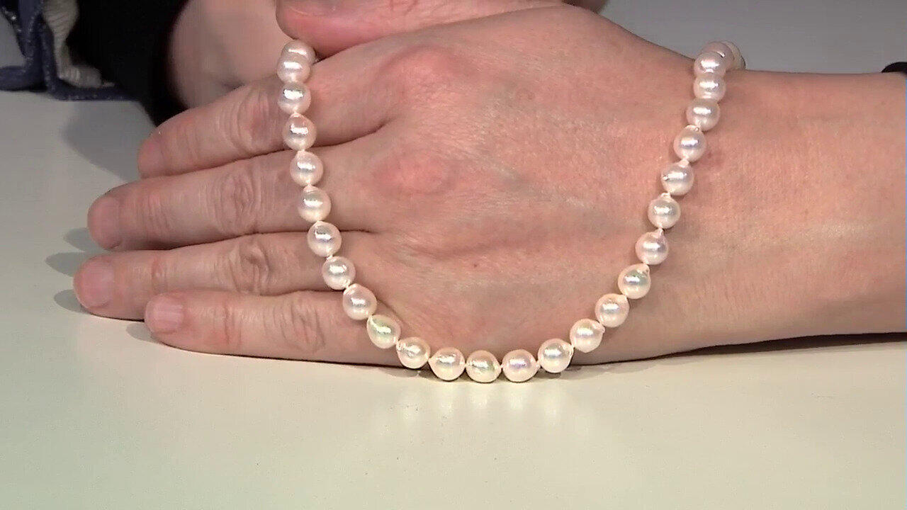 Letzte TV-Show ansehen