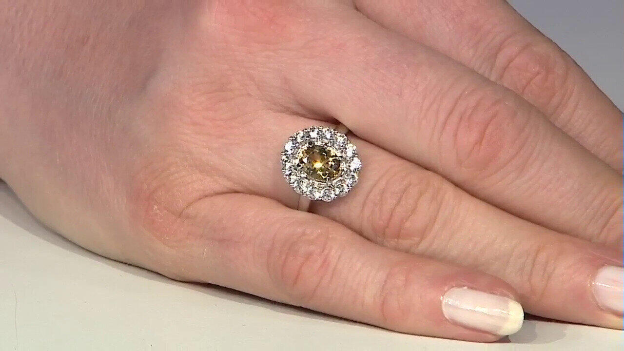 Letzte TV-Show ansehen