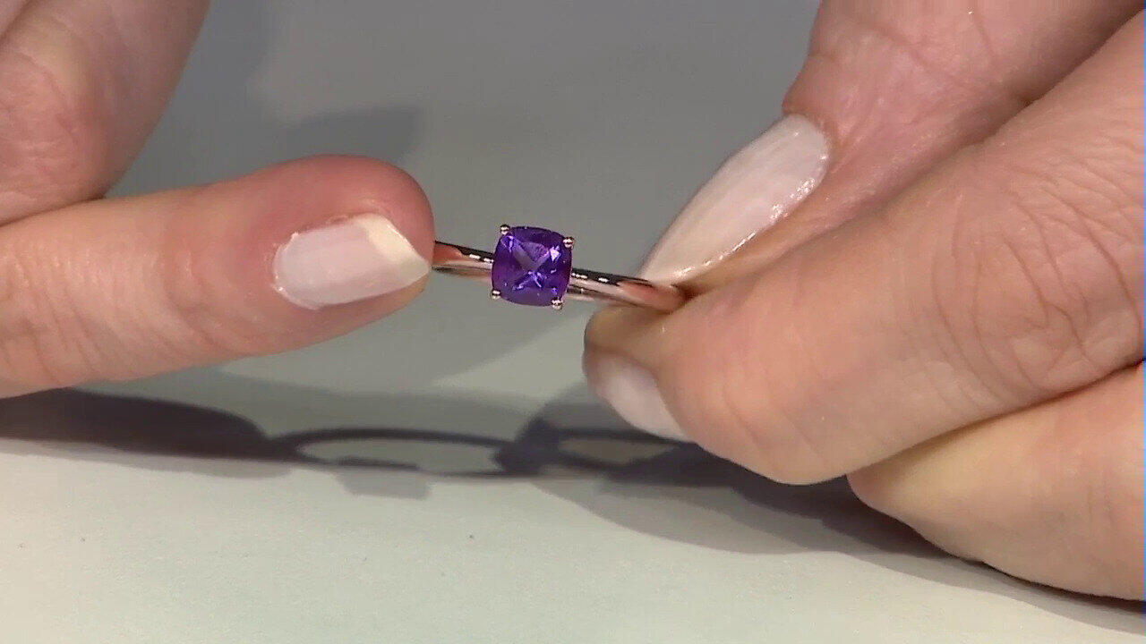 Letzte TV-Show ansehen