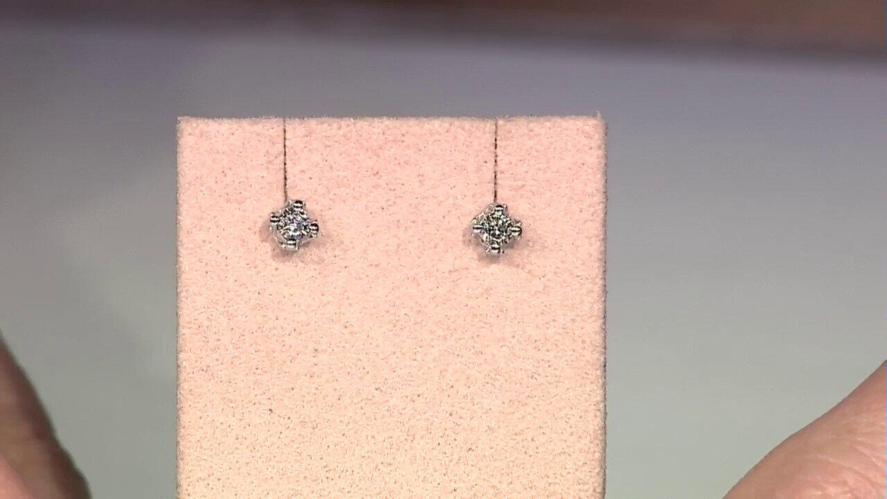 Letzte TV-Show ansehen