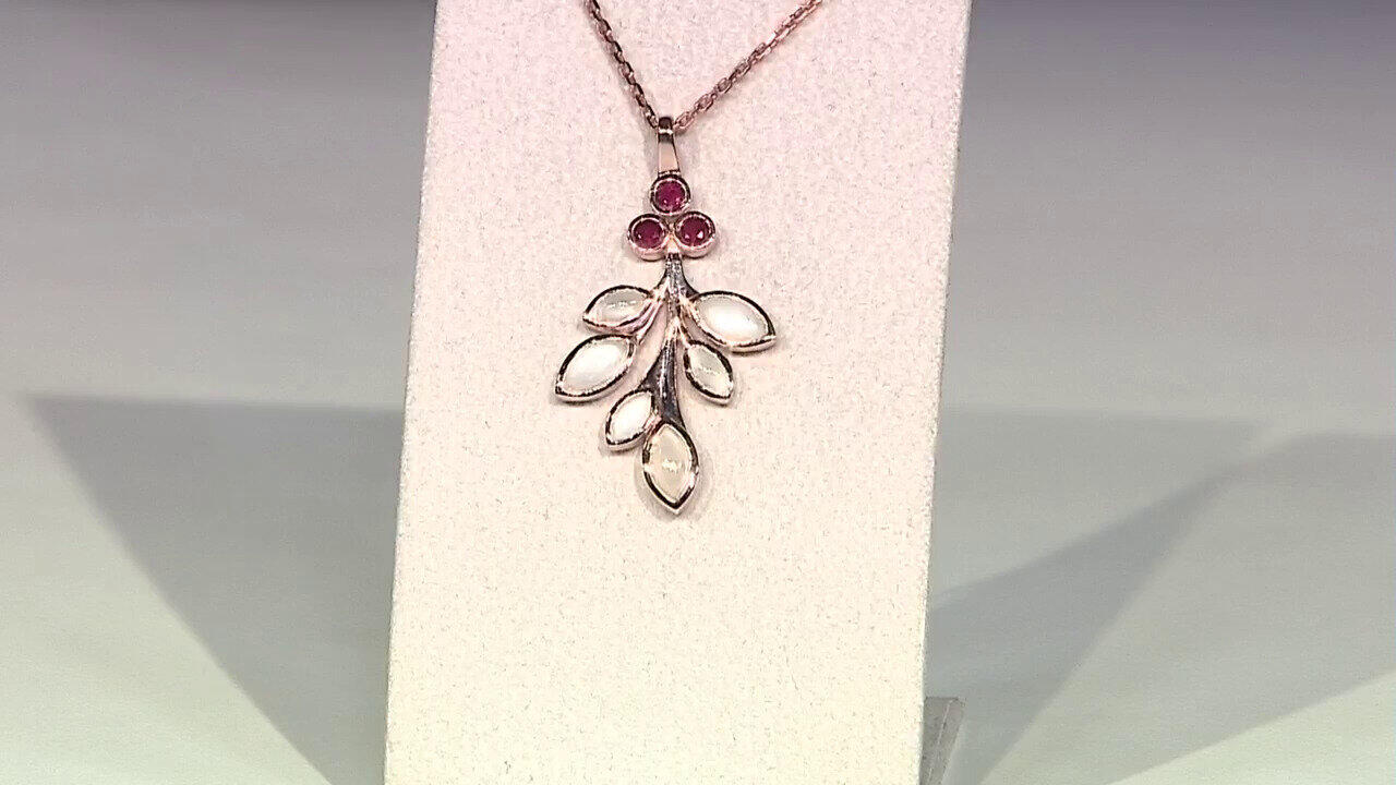 Letzte TV-Show ansehen