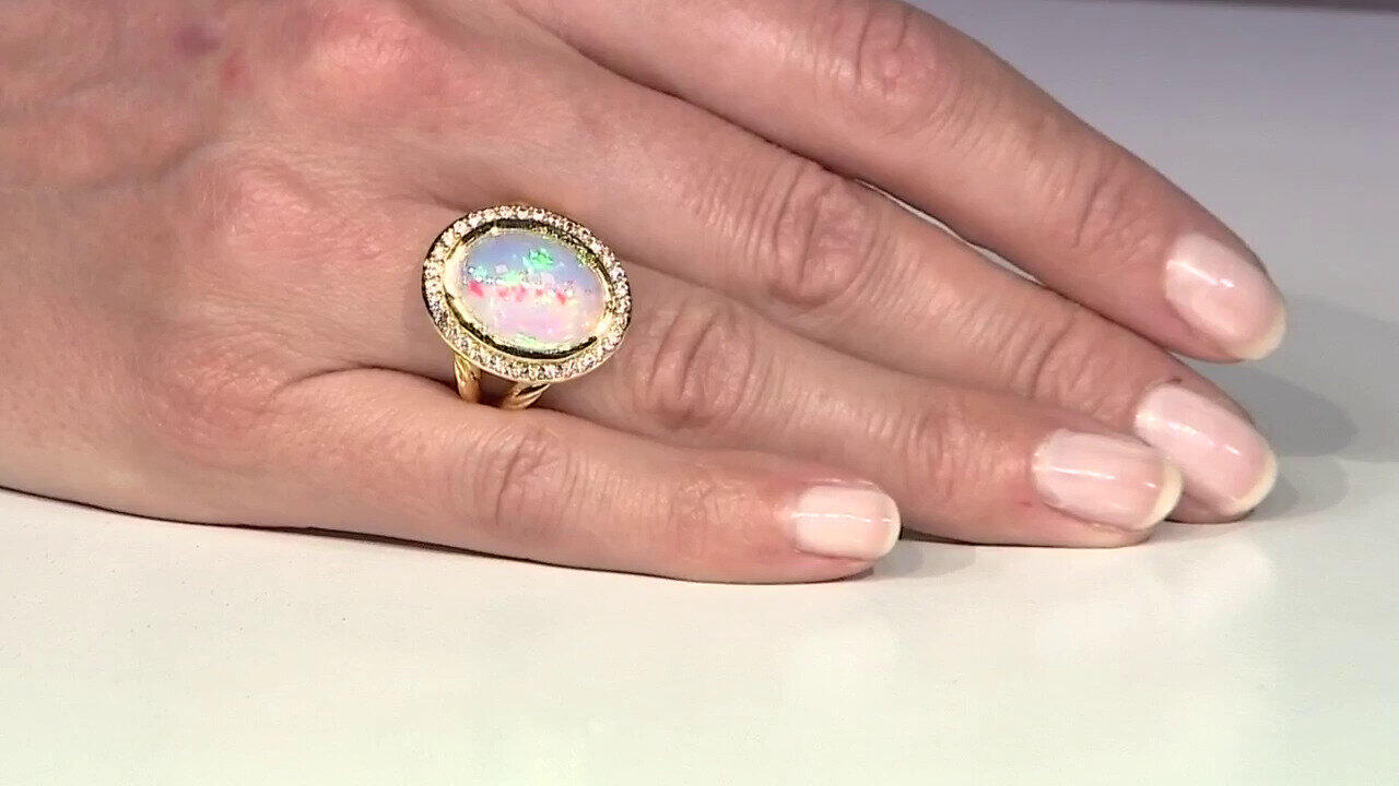 Letzte TV-Show ansehen