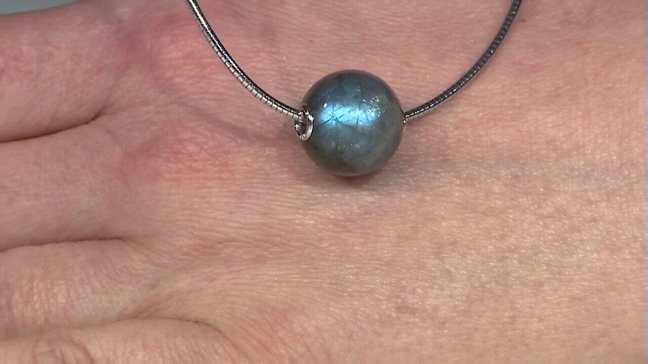 Letzte TV-Show ansehen