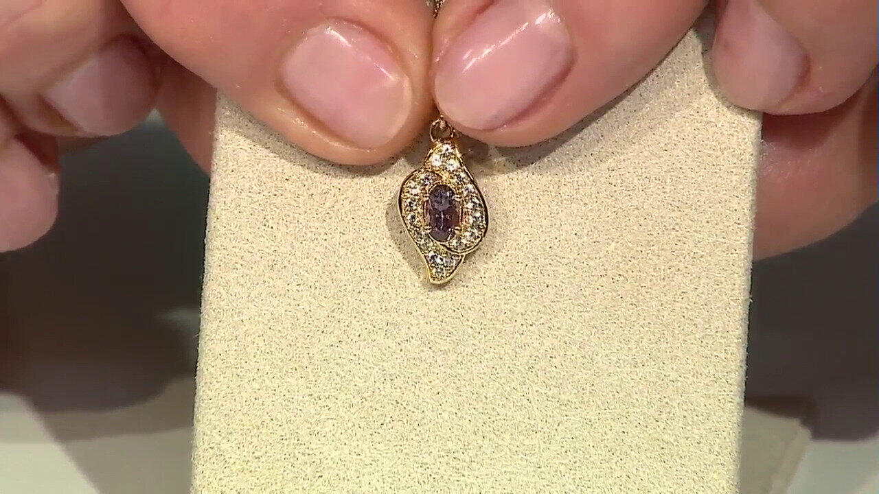 Ver última TV oferta