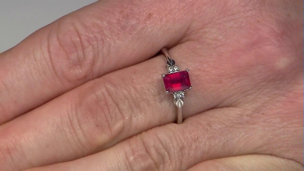 Letzte TV-Show ansehen