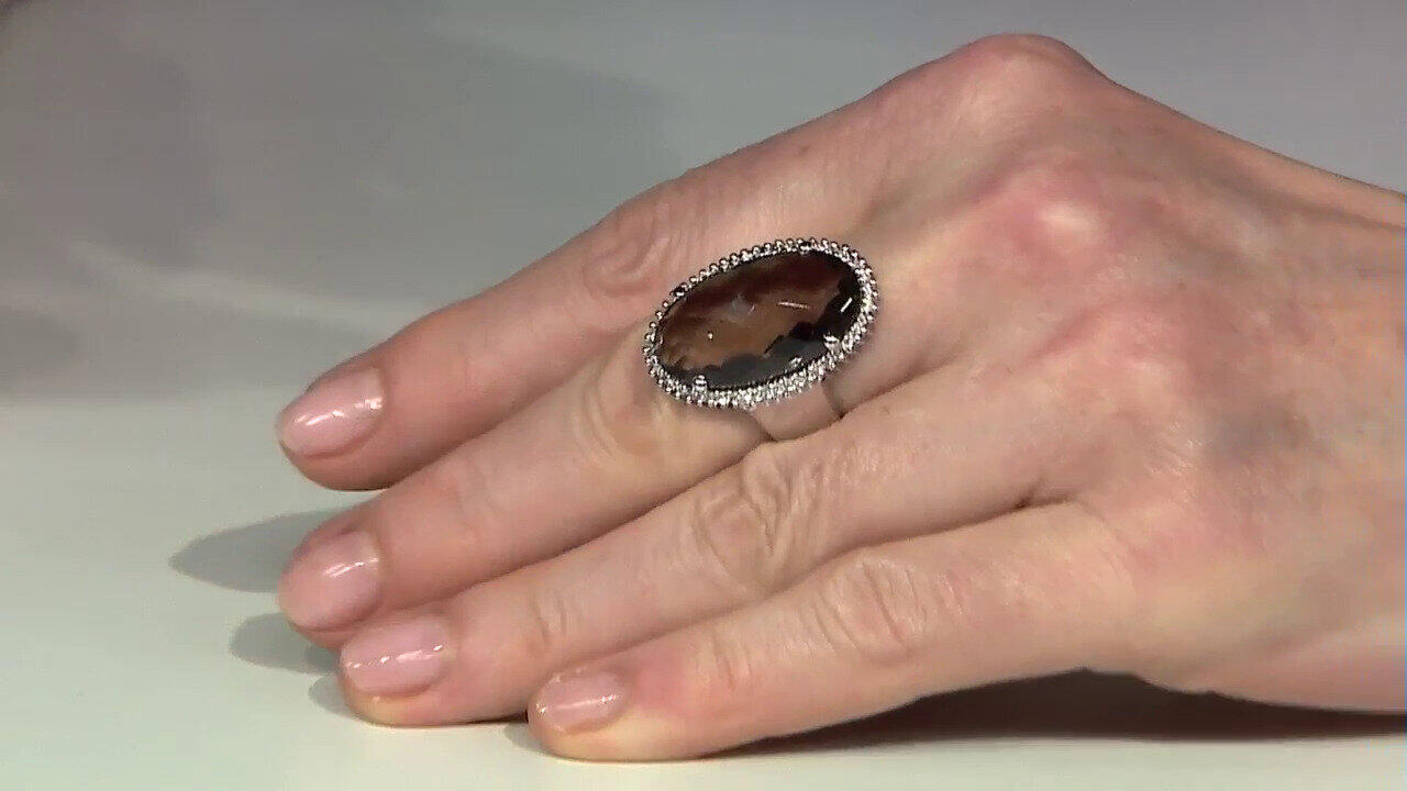 Ver última TV oferta