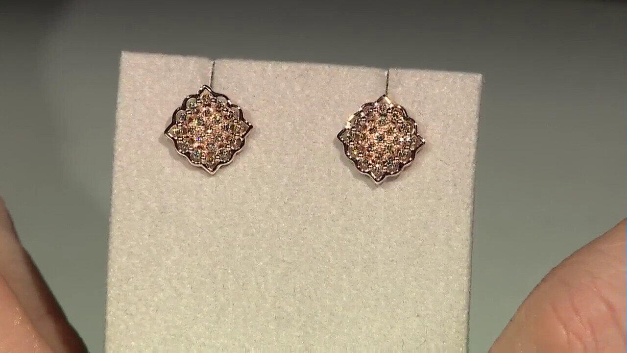 Letzte TV-Show ansehen