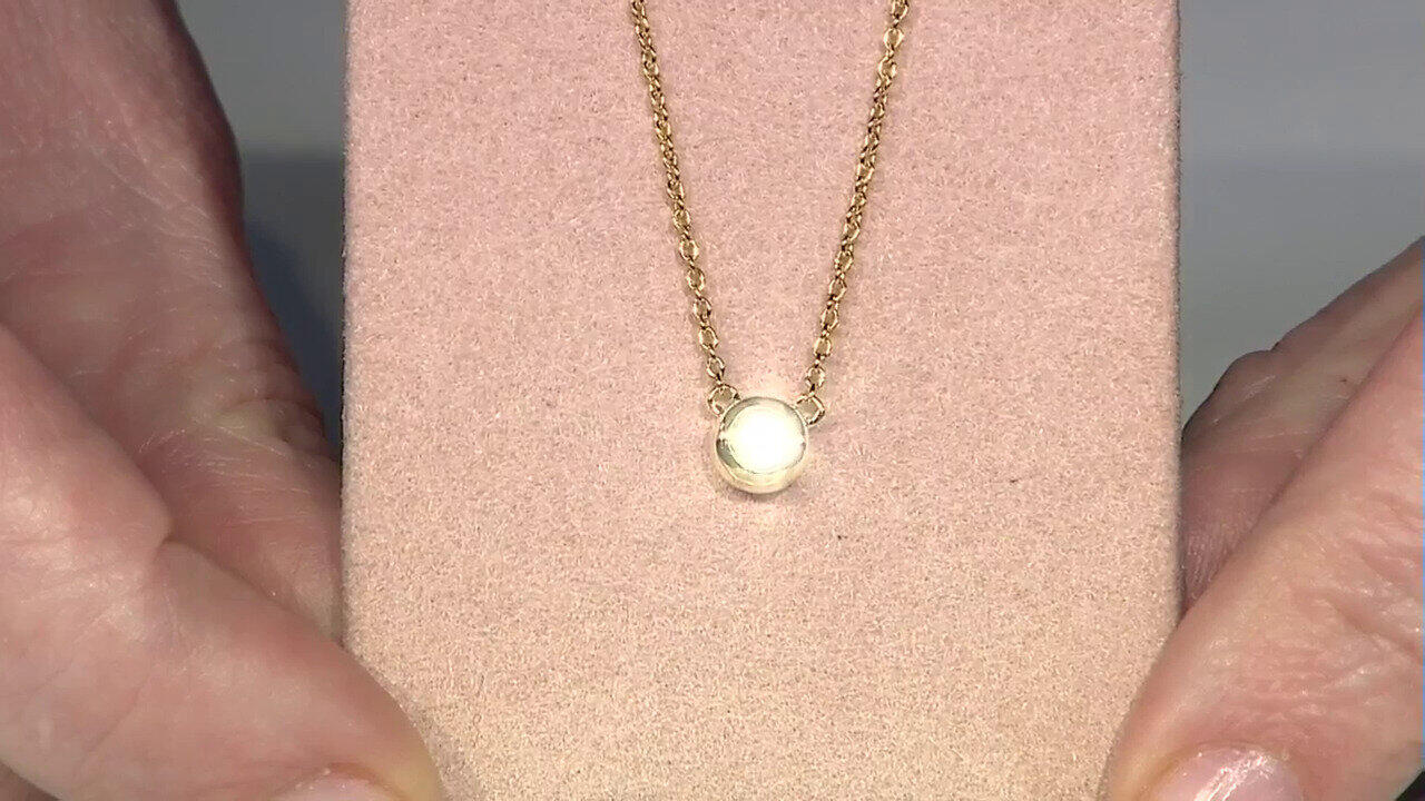 Letzte TV-Show ansehen