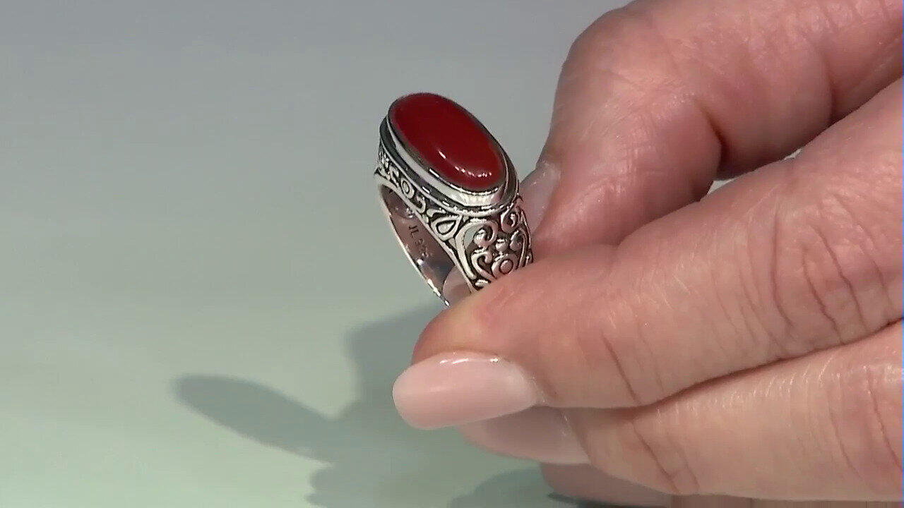 Letzte TV-Show ansehen