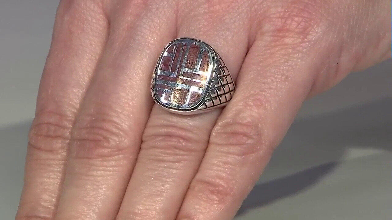 Letzte TV-Show ansehen