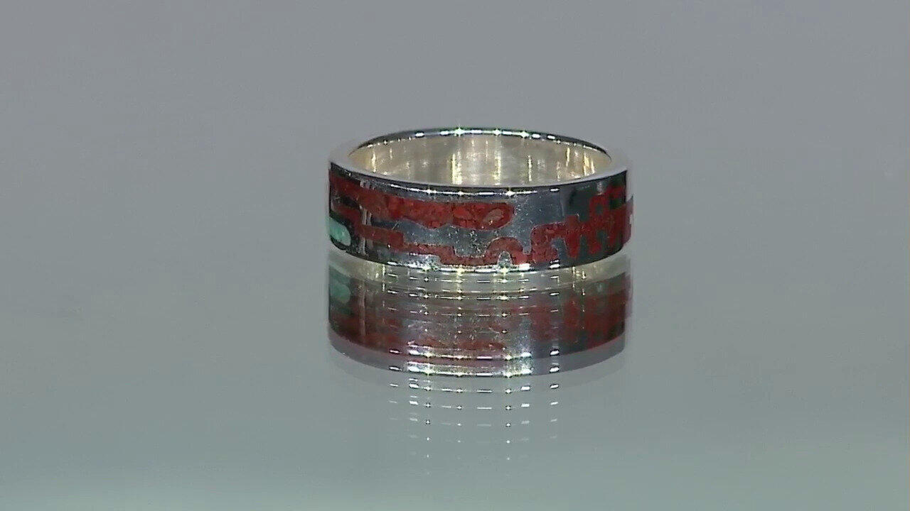 Letzte TV-Show ansehen