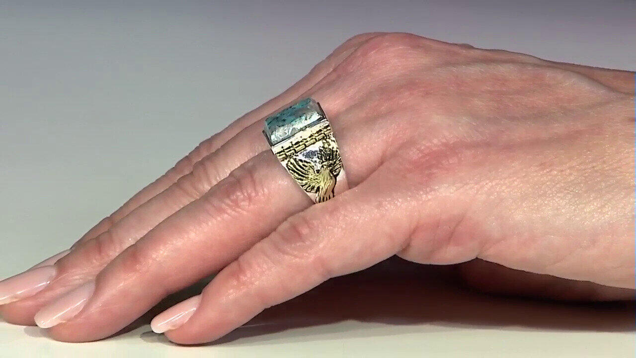 Letzte TV-Show ansehen