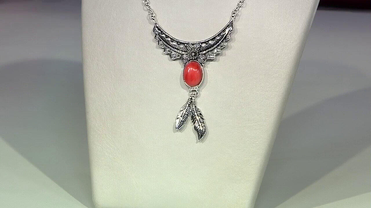 Ver última TV oferta