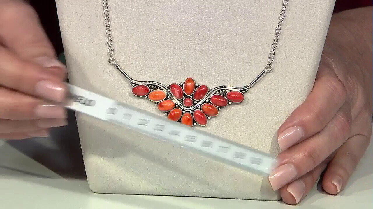 Laatste live aanbiedingen bekijken