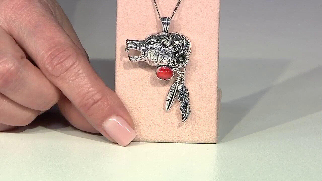 Ver última TV oferta