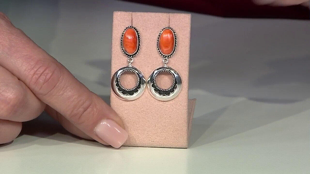 Laatste live aanbiedingen bekijken