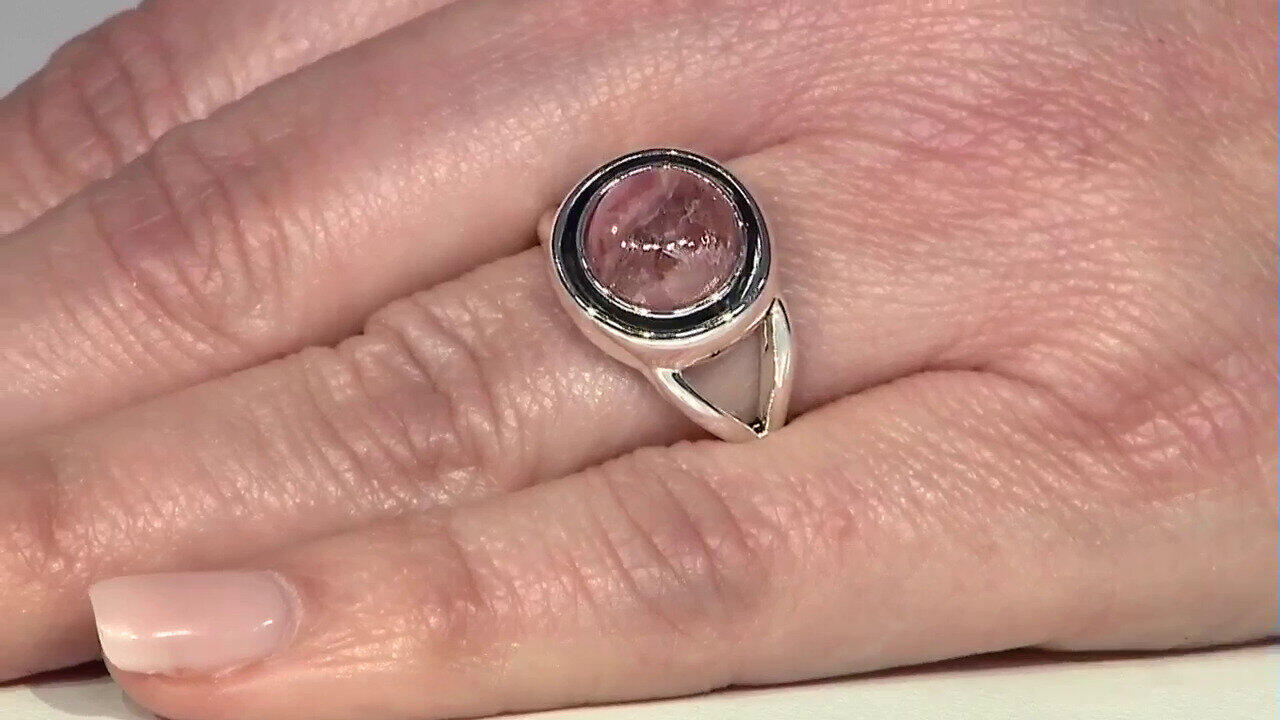 Letzte TV-Show ansehen