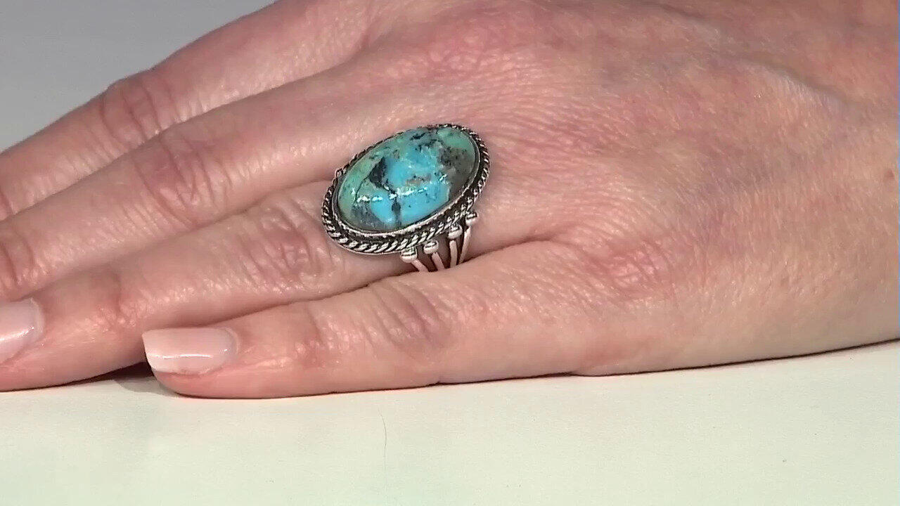 Letzte TV-Show ansehen