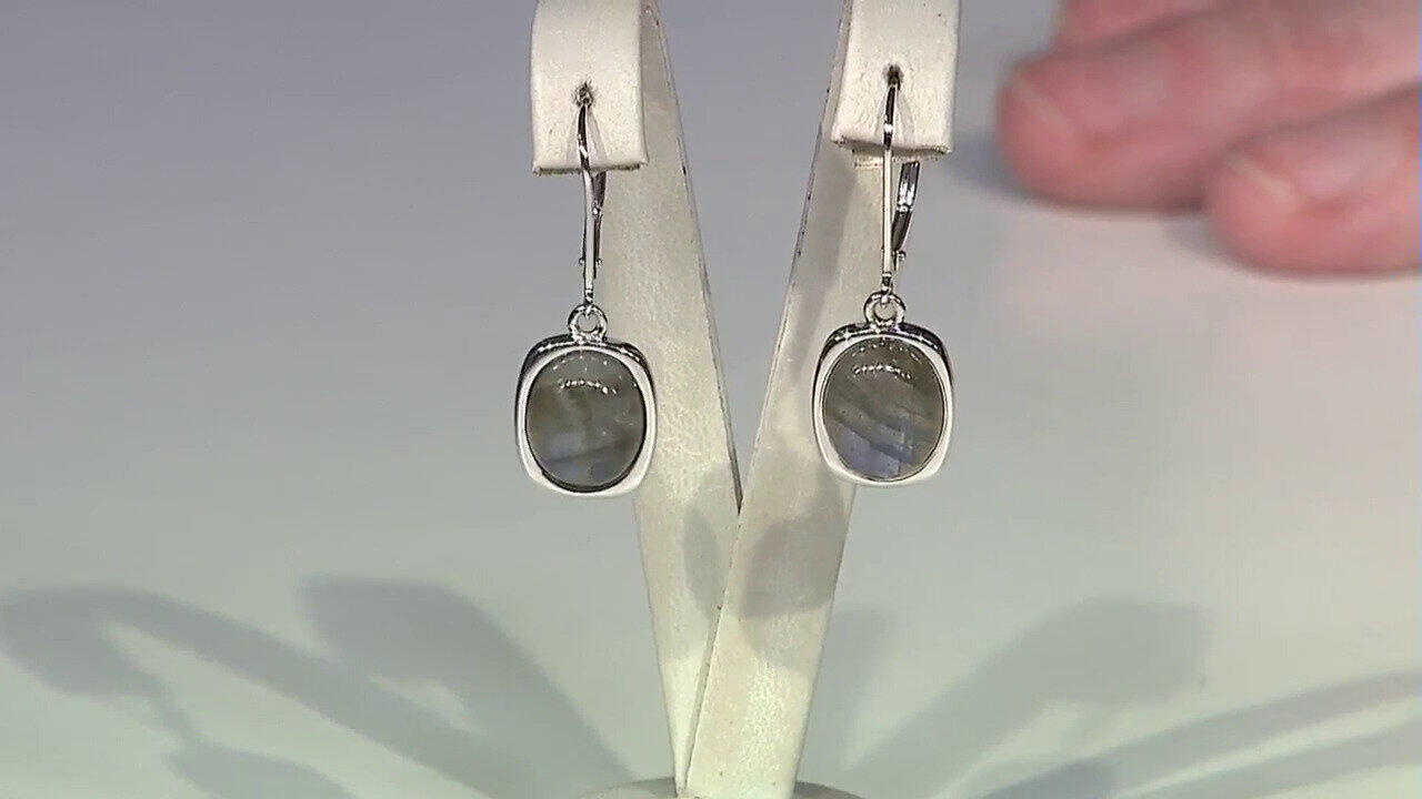 Ver última TV oferta