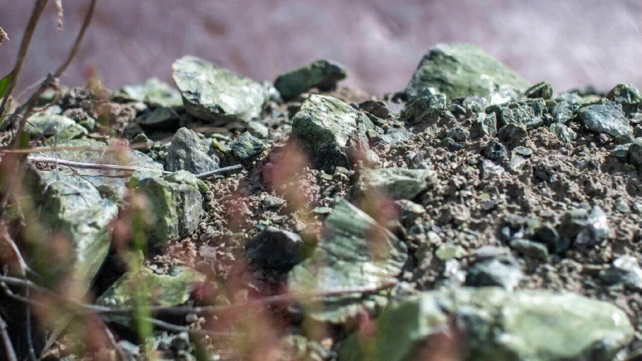 Visualizza l‘ultima asta di gioielli in Tv