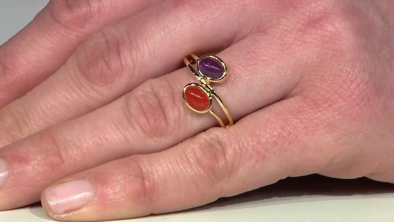 Letzte TV-Show ansehen