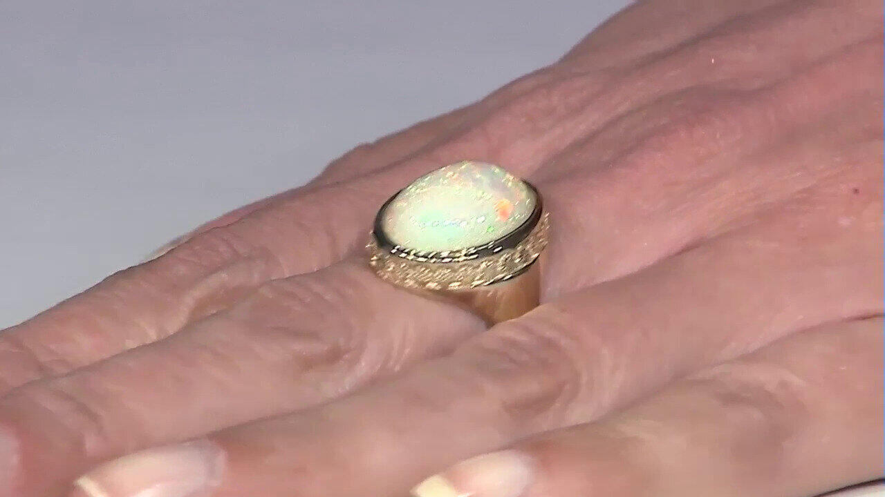 Letzte TV-Show ansehen