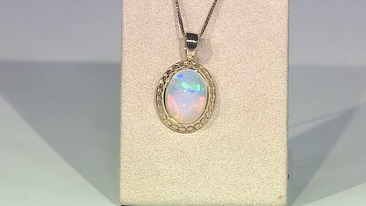 Letzte TV-Show ansehen