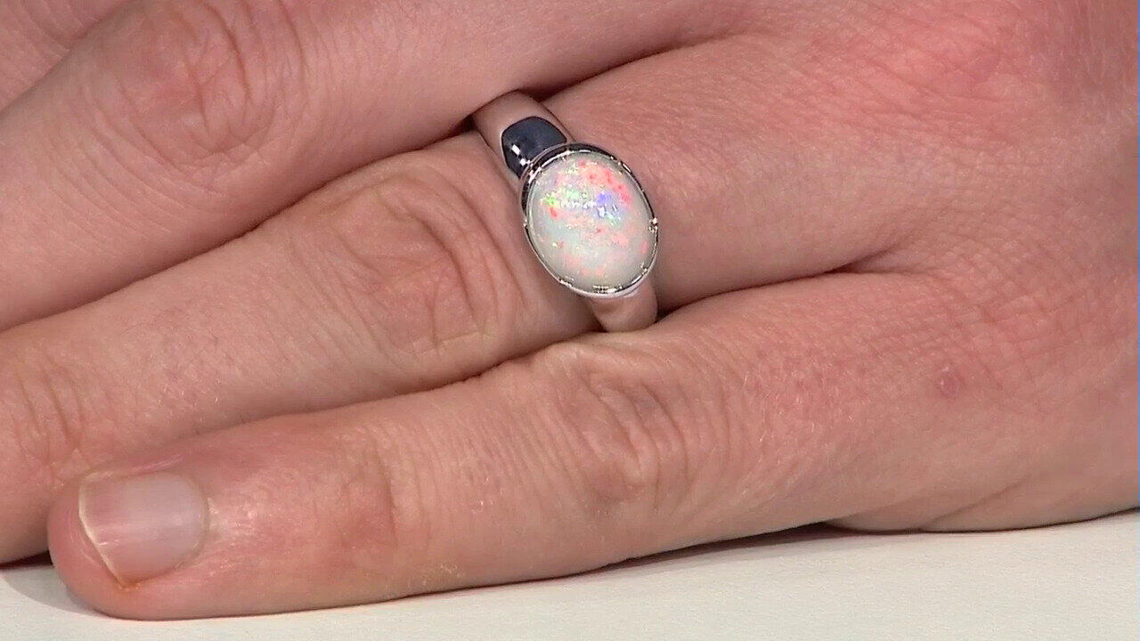 Laatste live aanbiedingen bekijken