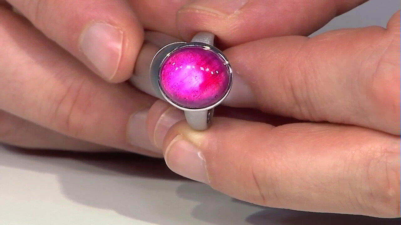 Letzte TV-Show ansehen