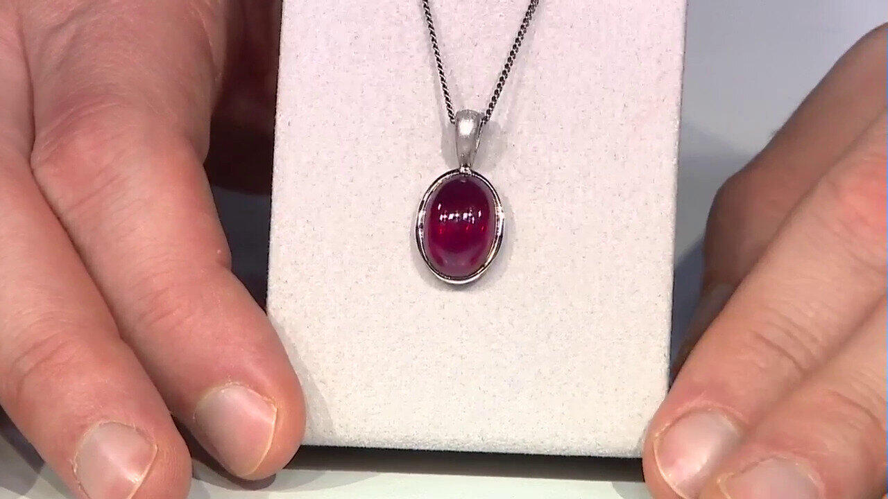 Letzte TV-Show ansehen