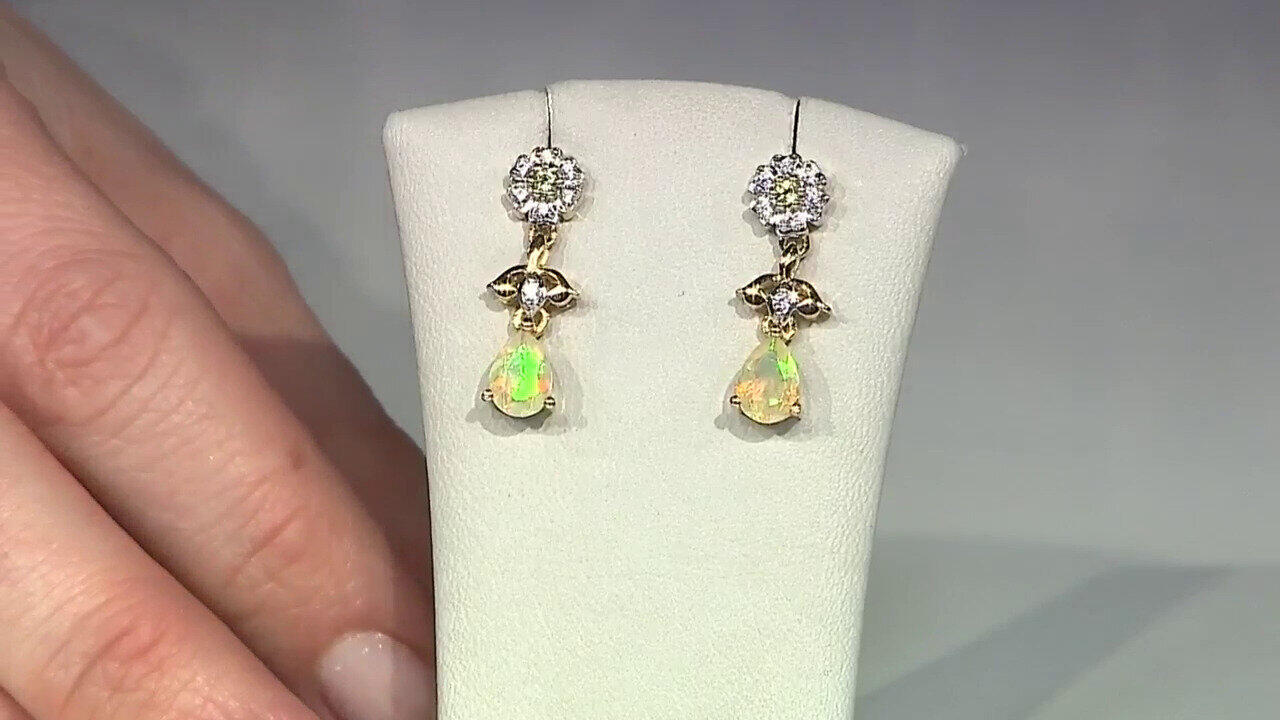 Letzte TV-Show ansehen