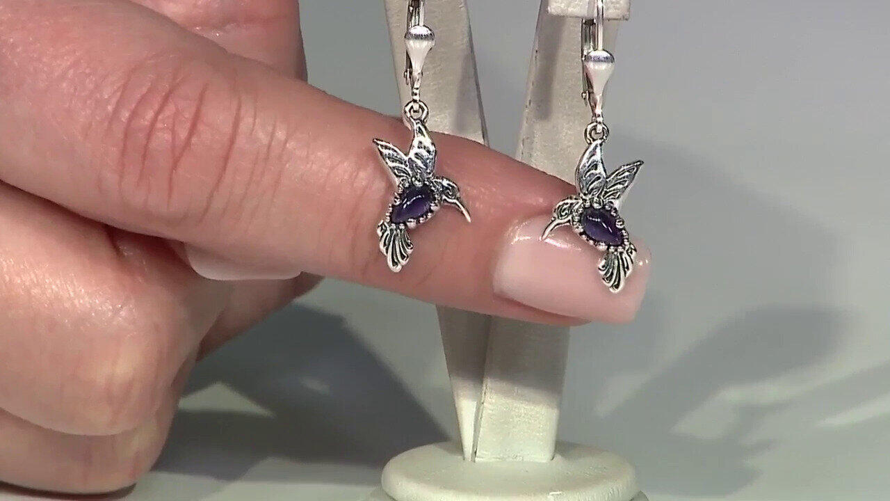 Letzte TV-Show ansehen