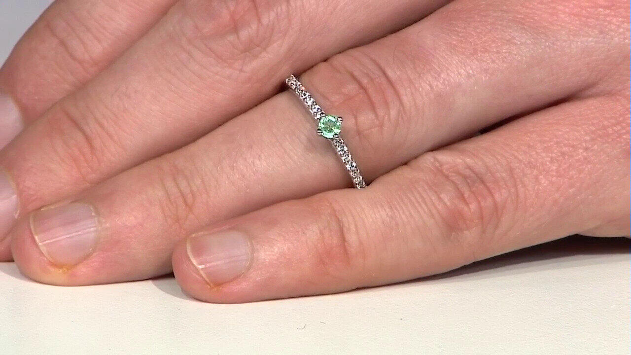 Letzte TV-Show ansehen