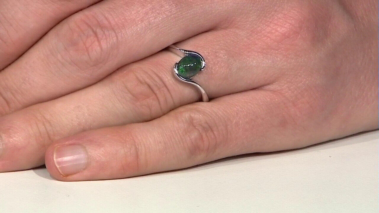 Letzte TV-Show ansehen