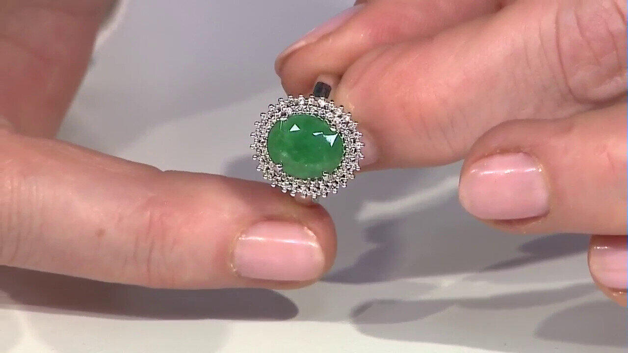 Letzte TV-Show ansehen