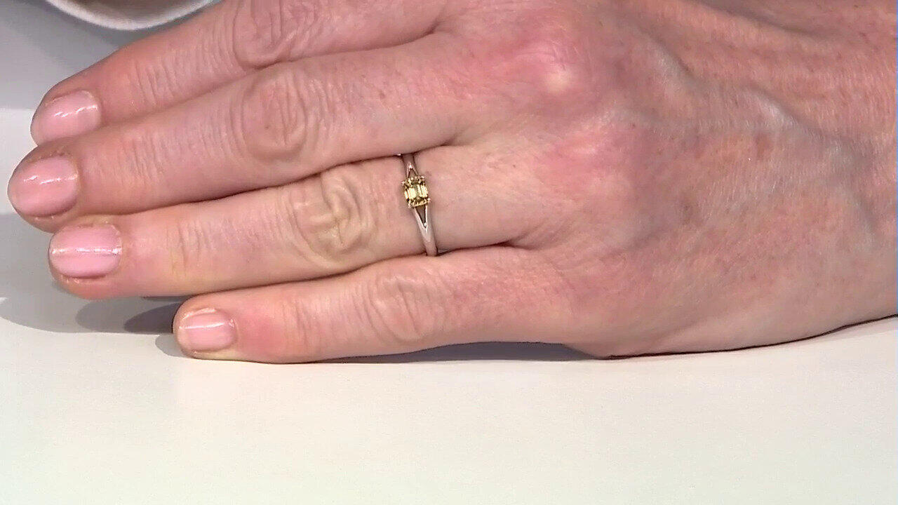 Letzte TV-Show ansehen