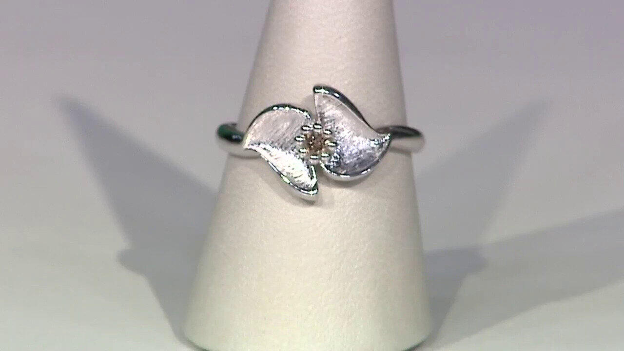 Letzte TV-Show ansehen