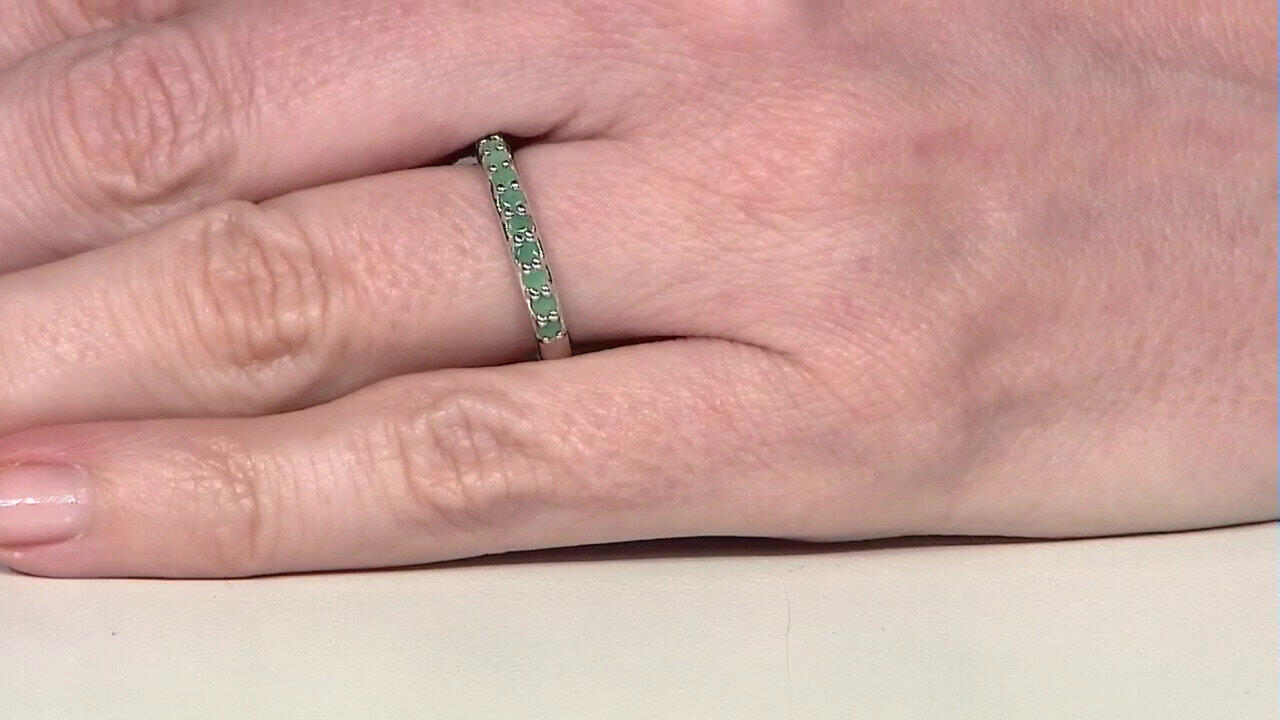 Letzte TV-Show ansehen