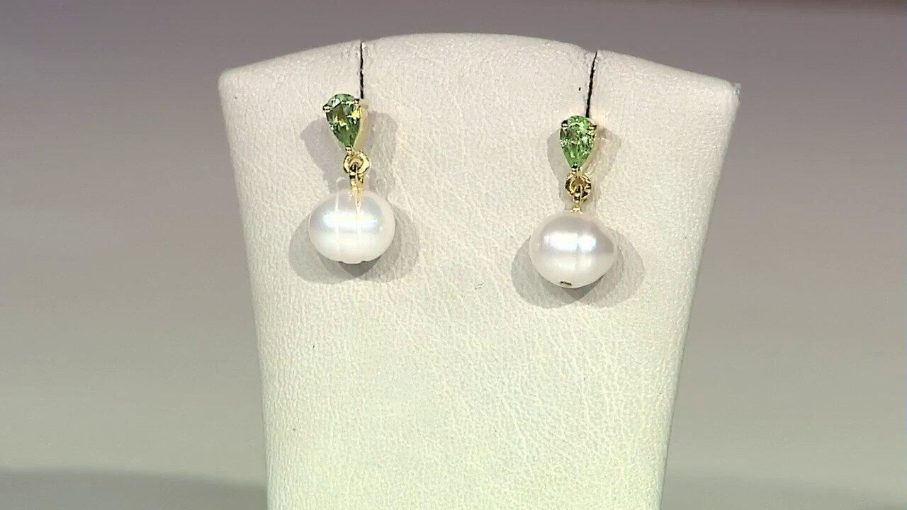 Laatste live aanbiedingen bekijken