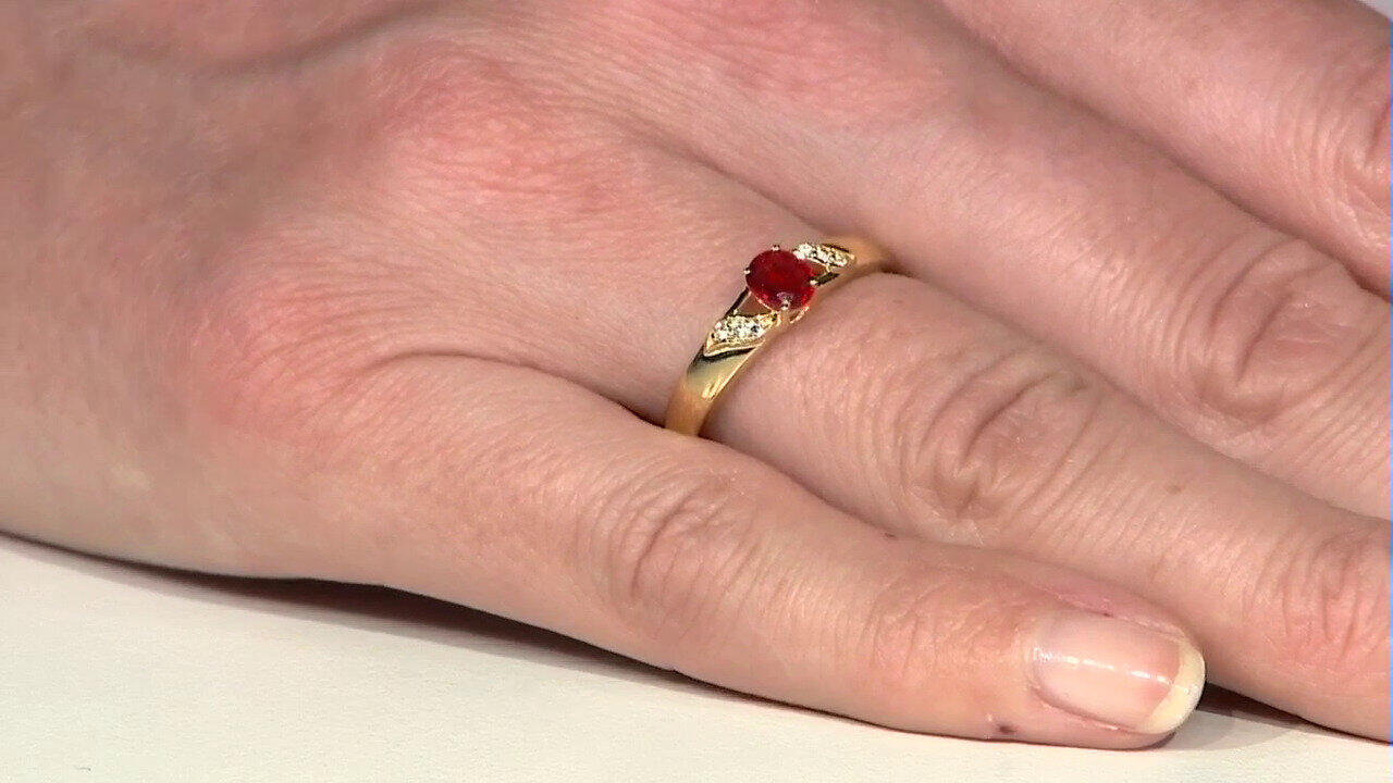 Letzte TV-Show ansehen