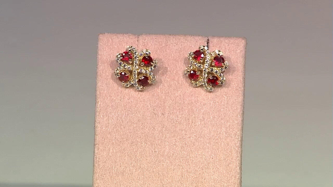 Letzte TV-Show ansehen