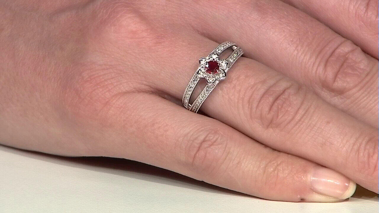 Letzte TV-Show ansehen