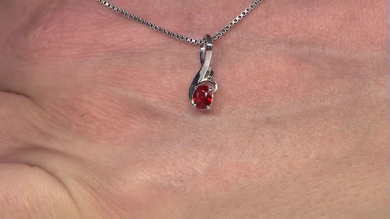 Letzte TV-Show ansehen